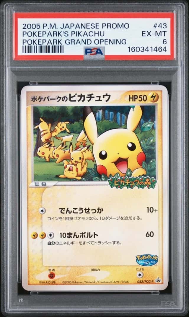 PokePark's Pikachu