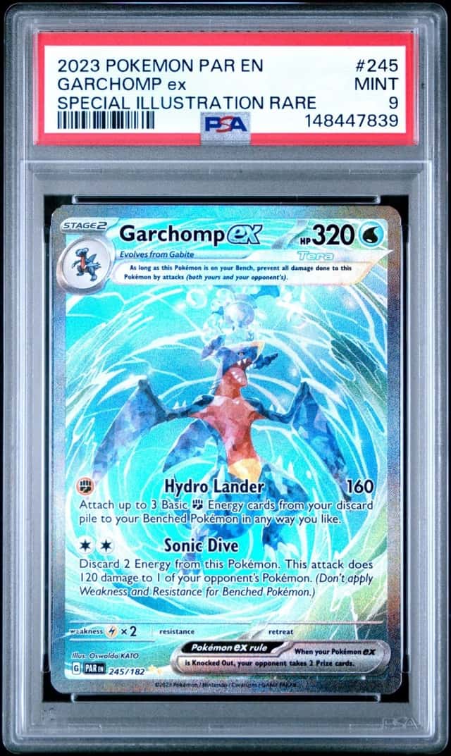 GARCHOMP ex