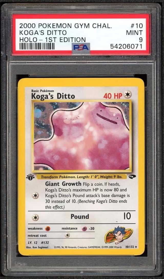 Koga's Ditto