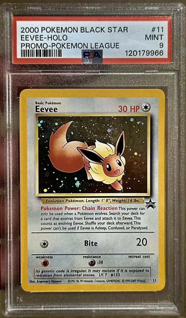 Eevee