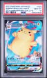 Surfing Pikachu Vmax