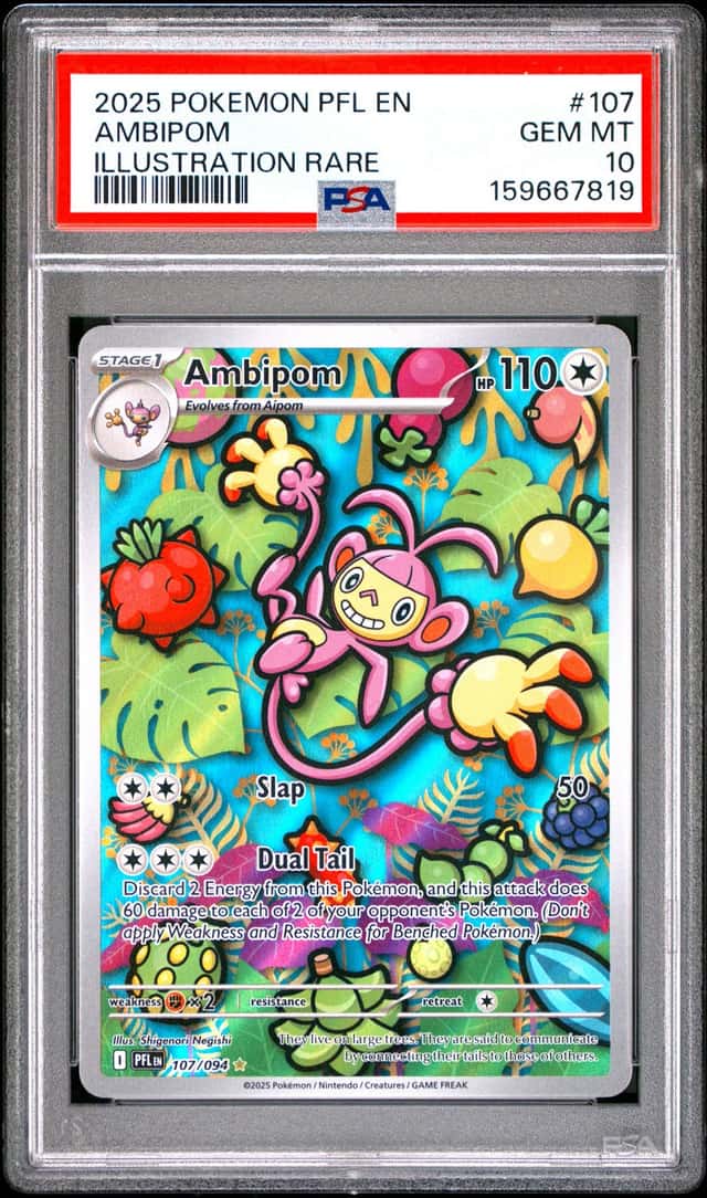 Ambipom