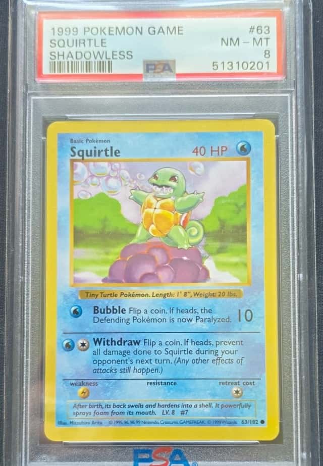 Squirtle