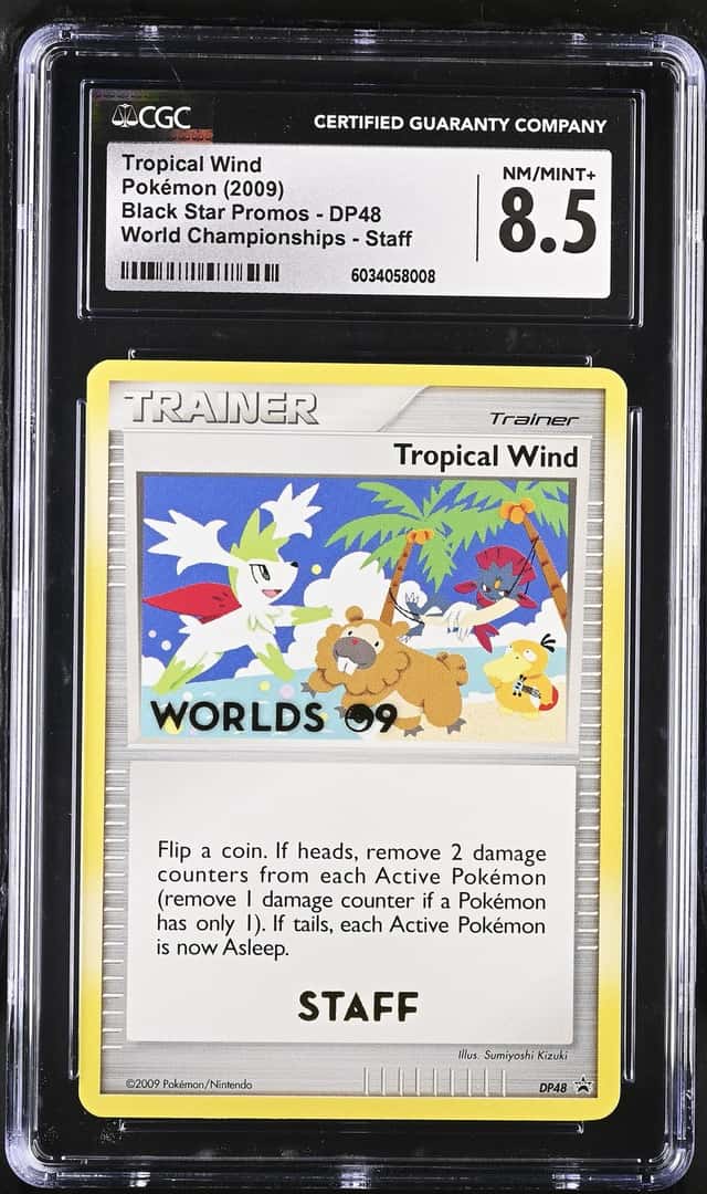 Tropical Wind