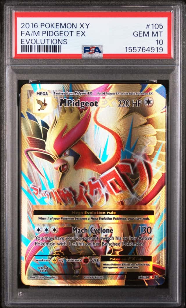 M Pidgeot EX