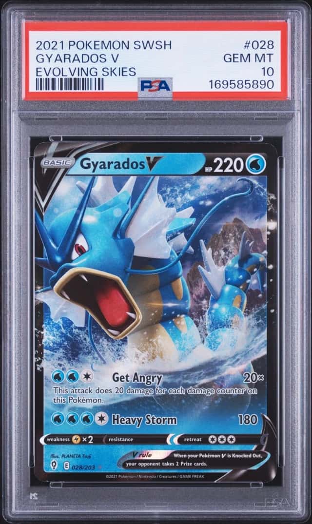 Gyarados V