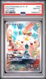 Pachirisu