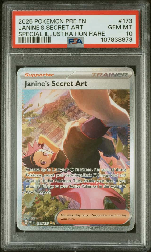 Janine's Secret Art