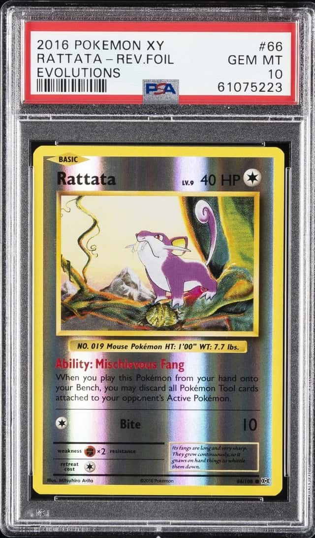 Rattata