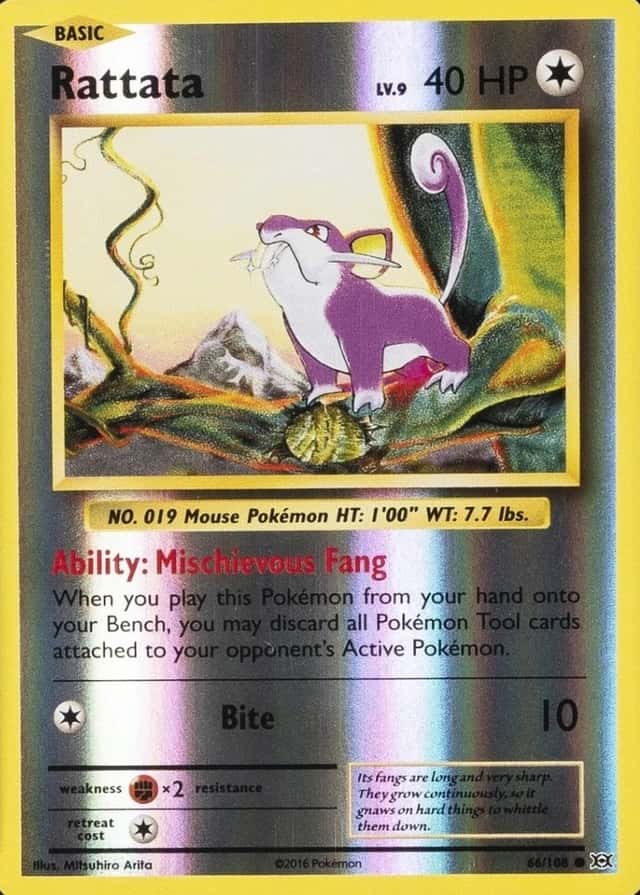 Reverse Holo