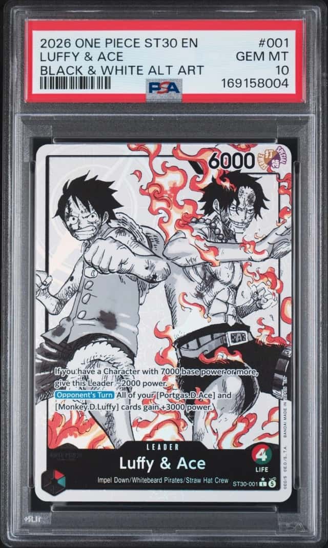 Luffy & Ace