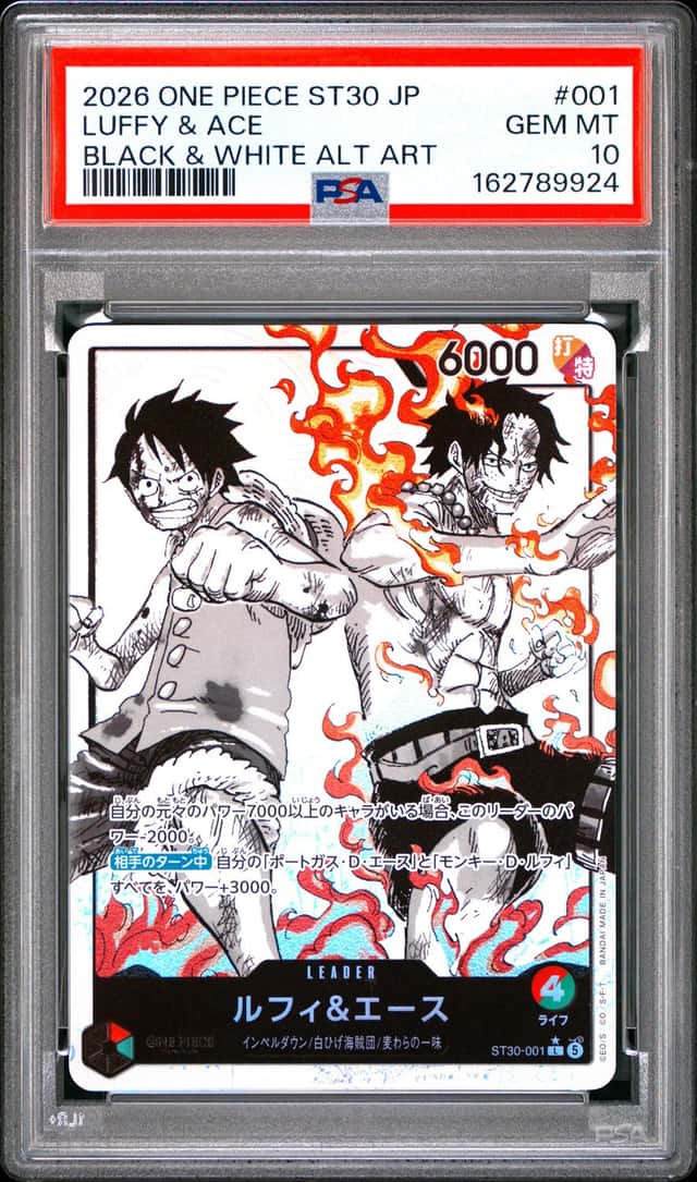 Luffy & Ace