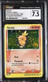 Torchic
