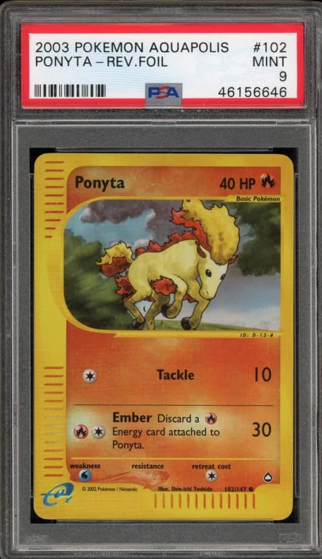 Ponyta