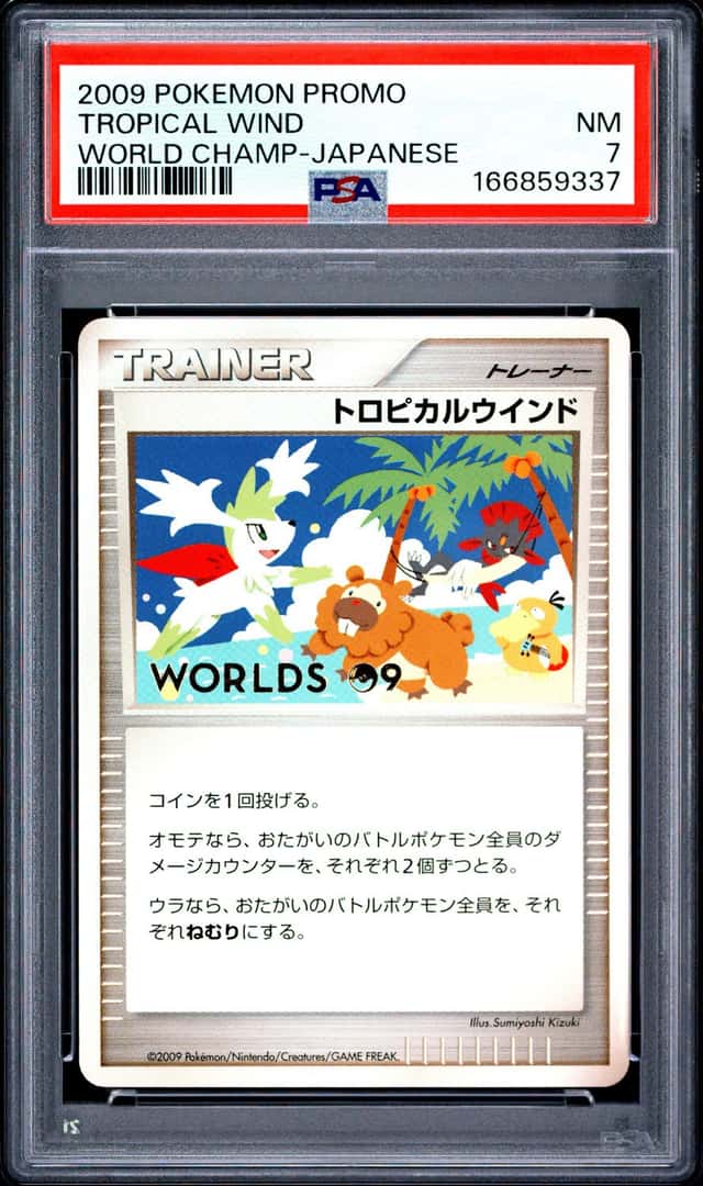 Tropical Wind