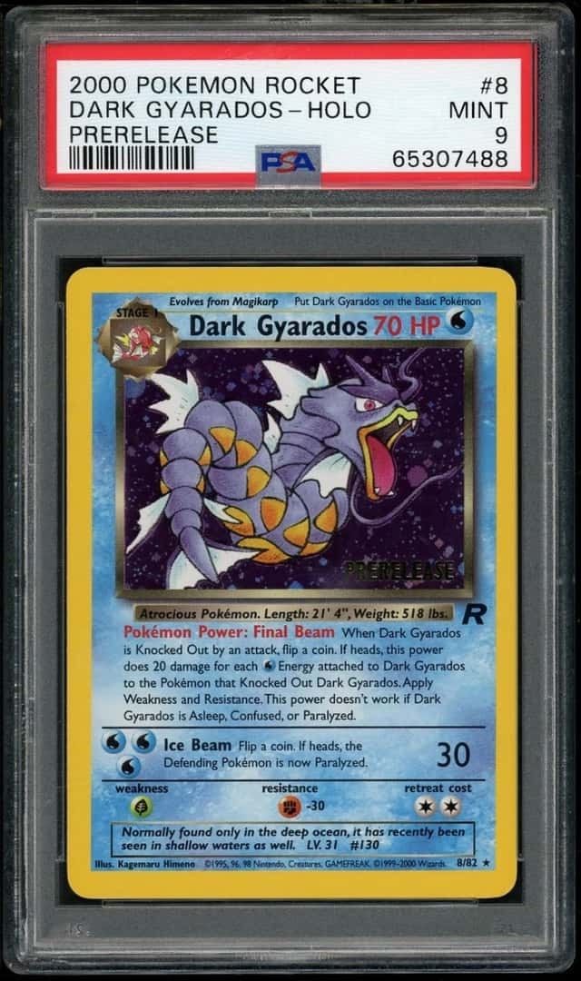 Dark Gyarados