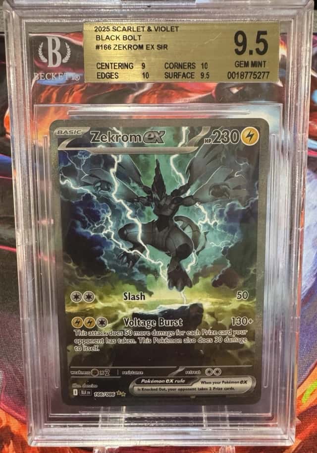 ZEKROM ex