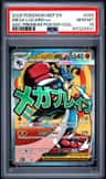 Mega Lucario Ex