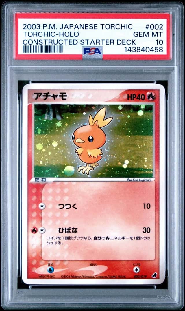 Torchic