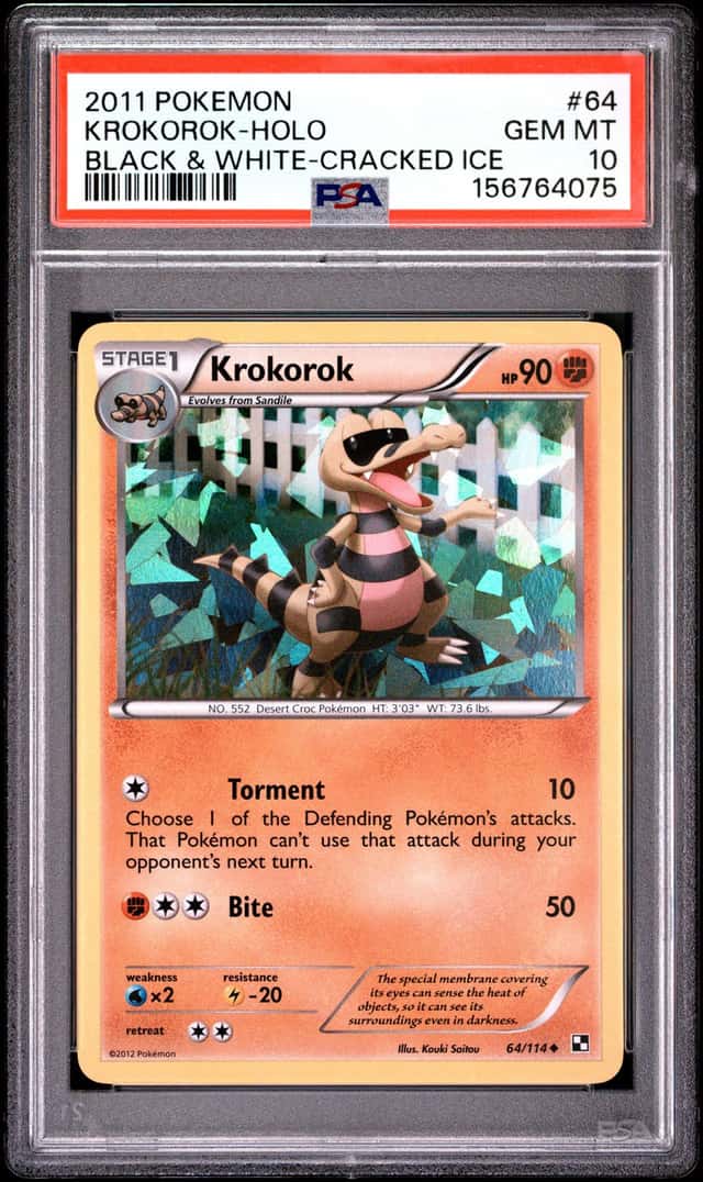 Krokorok