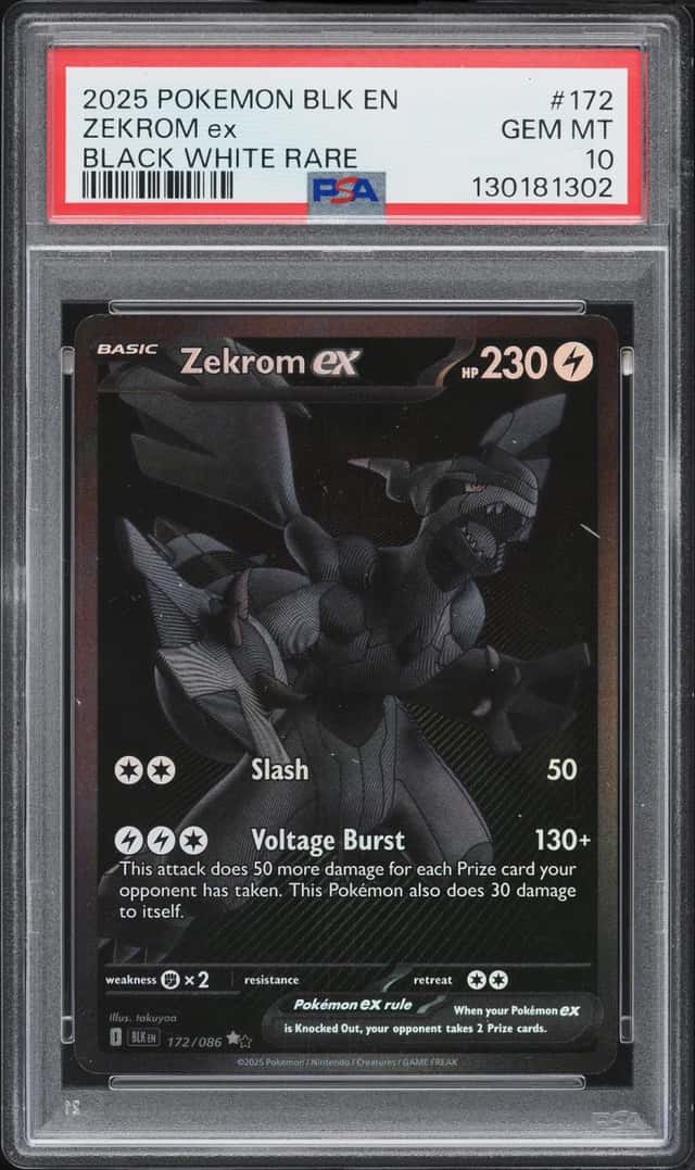 ZEKROM ex