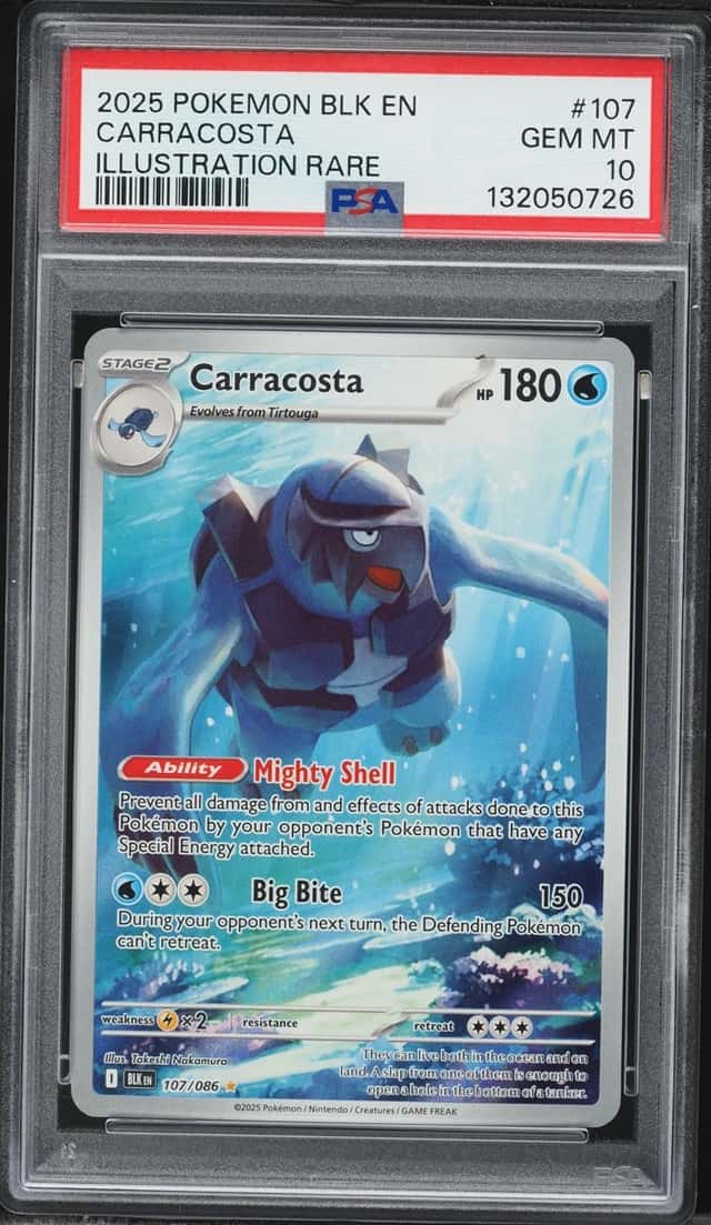 Carracosta