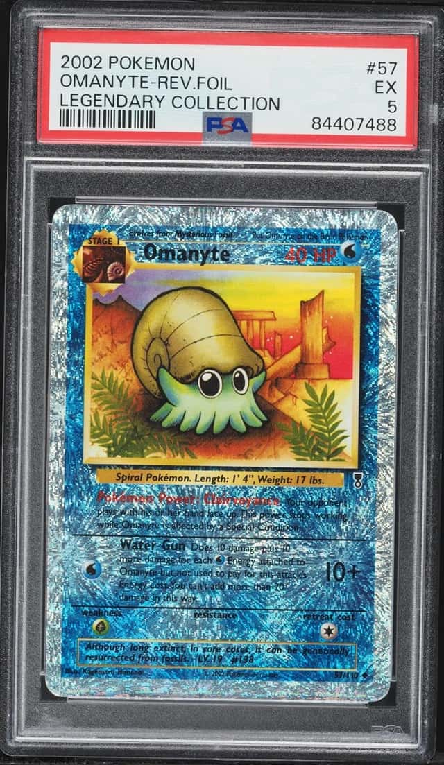 Omanyte