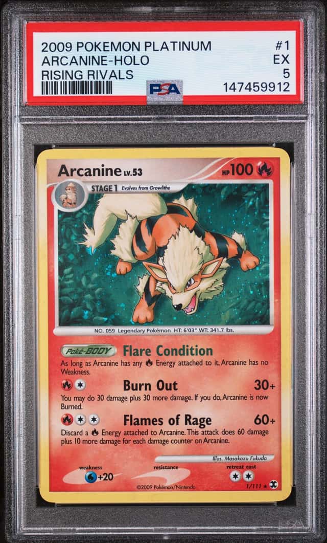 Arcanine