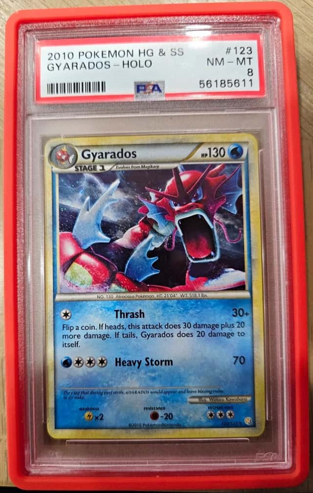 Gyarados