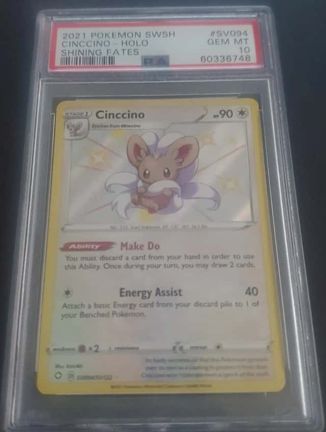 Cinccino
