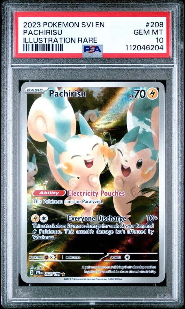 Pachirisu