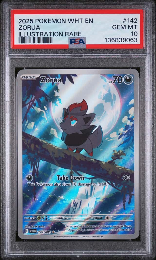 Zorua