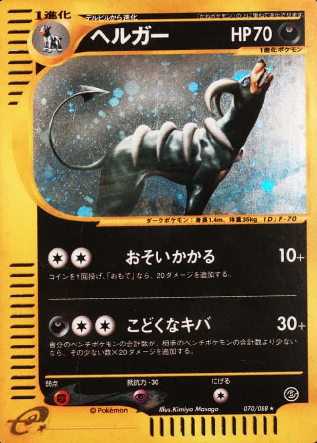 Holo