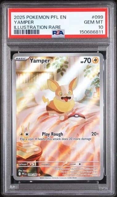 Yamper