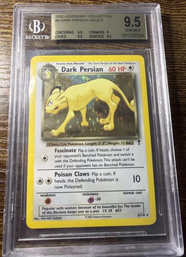 Dark Persian