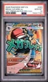 Mega Lucario Ex