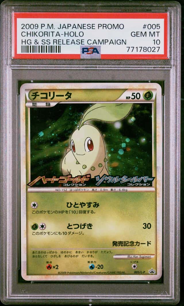 Chikorita