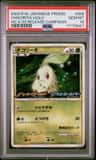 Chikorita