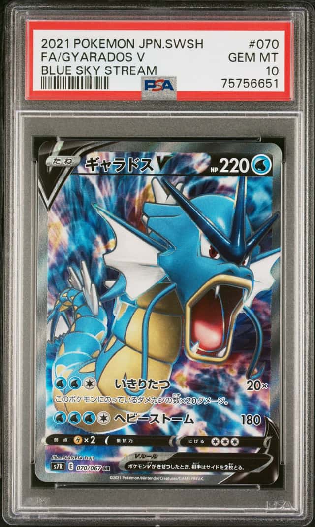 Gyarados V