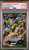 Zeraora V