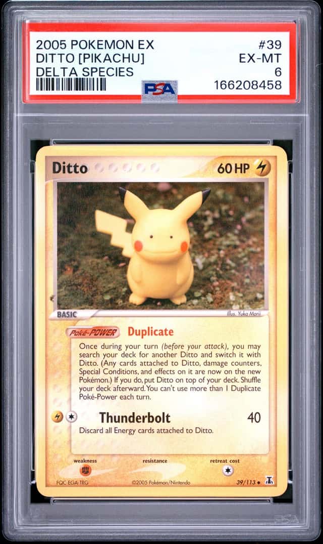Ditto