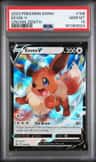 Eevee V