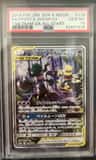 Trevenant & Dusknoir Gx