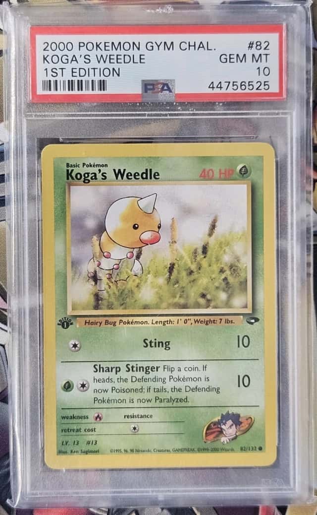 Koga's Weedle