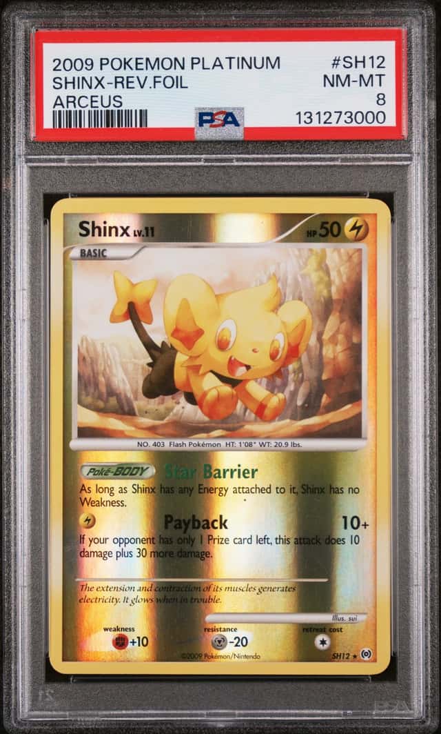 Shinx