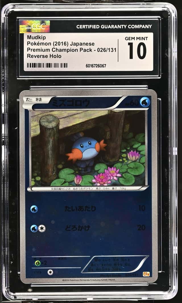 Mudkip