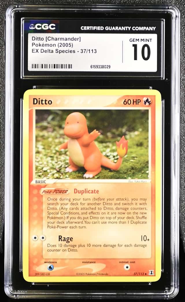 Ditto [Charmander]