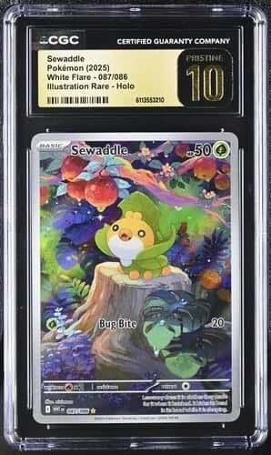 Sewaddle