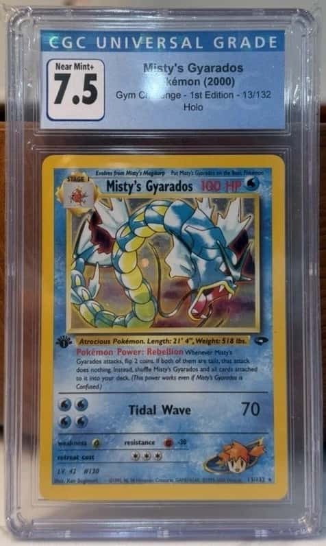 Misty's Gyarados