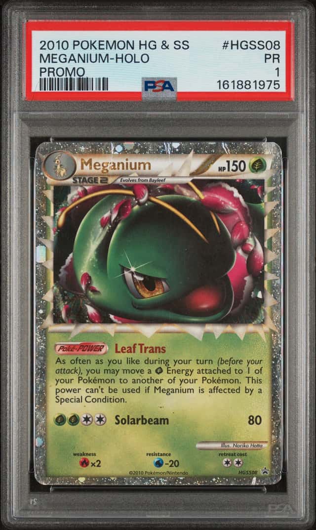 Meganium